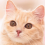 ねこ